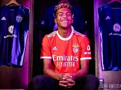 开云-德甲倒计时；本菲卡赛前单刀错失；细节引发关注；管理层满意；轮换策略成焦点的简单介绍