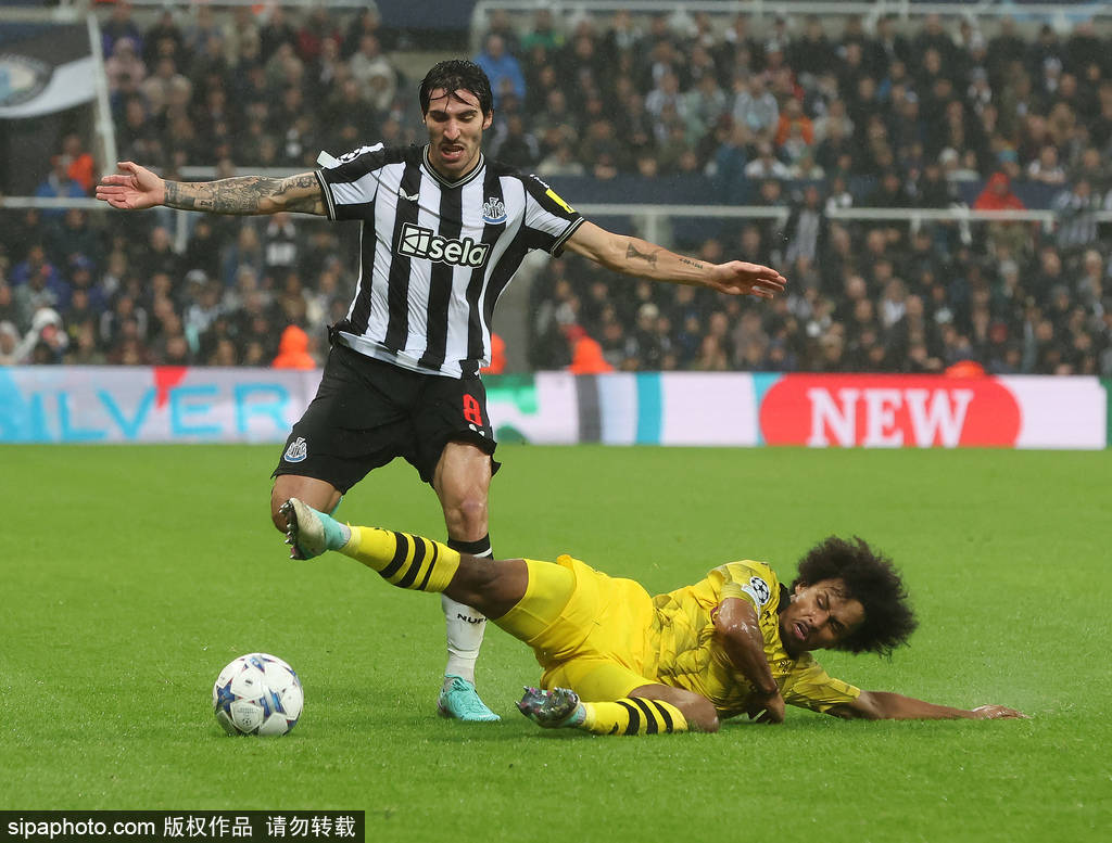 开云app-包含萨克拉门托国王发布备战花絮，关键时刻临场应变，欧冠任务艰巨，医务组通报恢复的词条